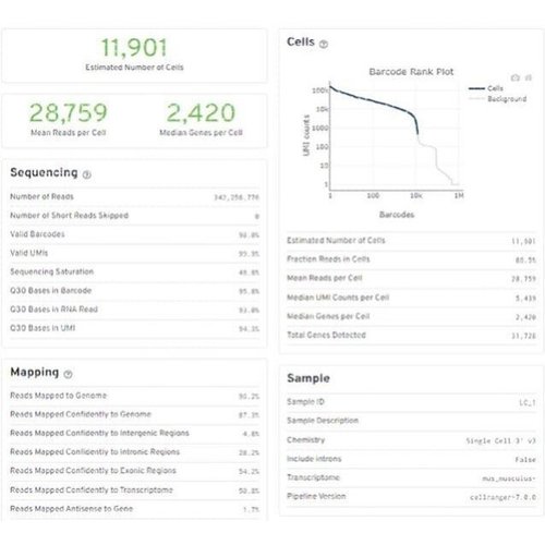 单细胞fastq、bam文件通过cellranger 转换成矩阵文件 导入R分析