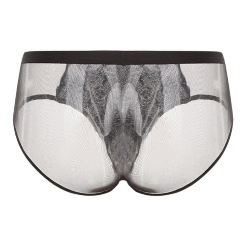半兽之内野性呐喊男士性感透视蛇纹内裤显大纯欲网纱拼接三角裤