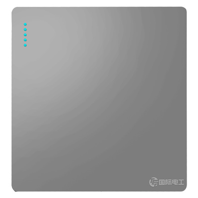 国际电工多孔暗装开关插座面板