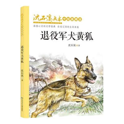 退役军犬黄狐.