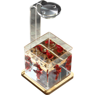 泰国斗鱼缸办公室生态微缸热带鱼观赏鱼迷你鱼缸单格桌面小缸D1