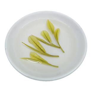 2026新茶安徽郎溪绿茶明前白茶高山茶叶安吉茶叶品种半斤袋装送礼
