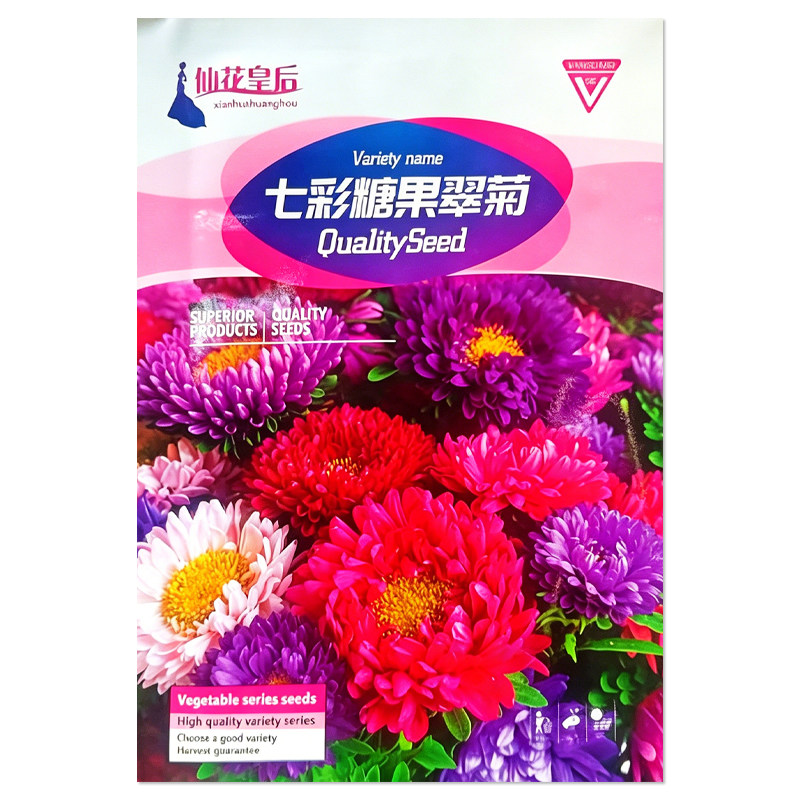 七彩糖果翠菊种子花卉种子