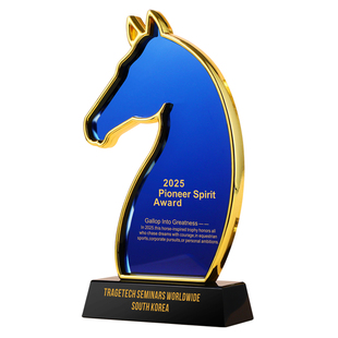 2025年会奖杯定制马年新款水晶奖牌定做企业优秀员工团队颁奖刻字