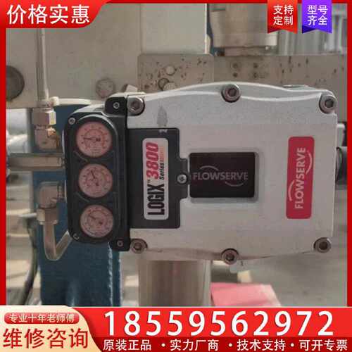 【询价】Flowserve 3821-28EA-D43L-0010-适用