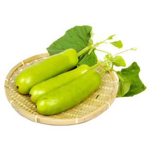 特嫩厚肉瓠瓜种子春夏秋四季蔬菜种子春季食用甜瓠子瓜种子秋季菜