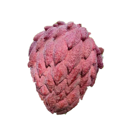 正宗红龙释迦果肉厚丰盈甜蜜软糯