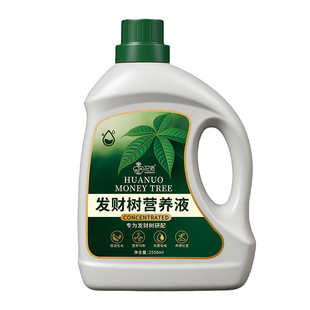 发财树肥料专用肥营养液植物叶子发黄烂根怎么办金钱树通用型花肥