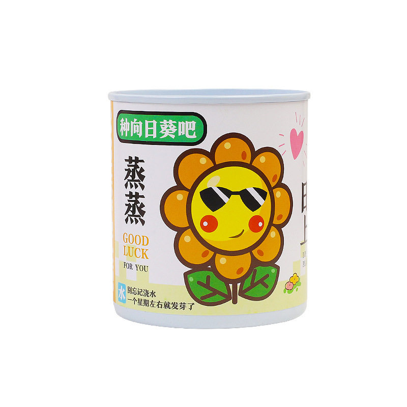 手提套装盆栽儿童节礼物奖励