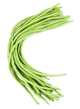 油绿豆角厚肉油白长豇豆春季秋季