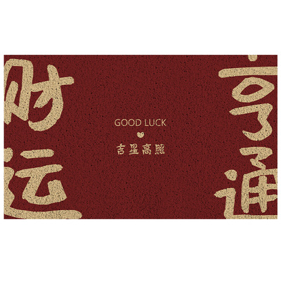 家用入户丝圈耐脏门外地垫红色
