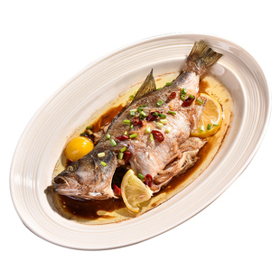 陶瓷鱼盘家用2026新款蒸鱼专用盘子轻奢高级感特大号加深椭圆鱼碟