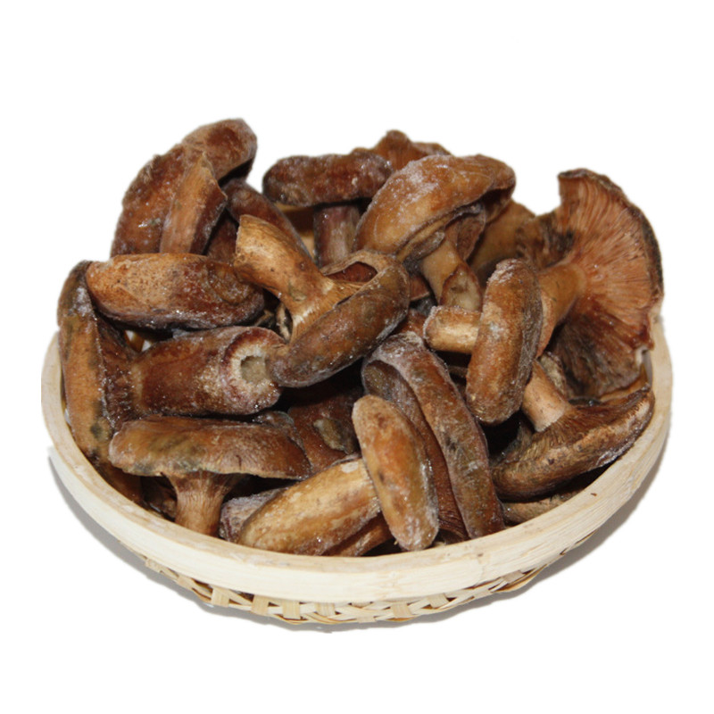 速冻谷熟菌云南素食新鲜野生枞菌铜绿菌松乳菇寒菌雁来蕈重阳菌