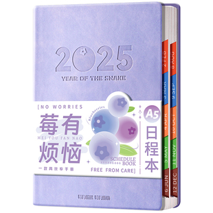 2026年新款日程本计划本高颜值笔记本工作日历本打卡本时间管理自律记事本子加厚一日一页效率表时间管理手帐