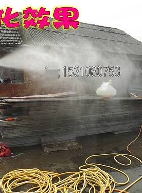 农用48V60V直流电动喷雾器/柱塞泵灌溉打药机园林雾化喷雾