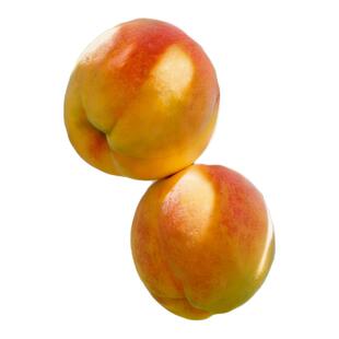 桃树果苗新品种黄桃水蜜桃树苗室外庭院嫁接苗南北方种植当年结果