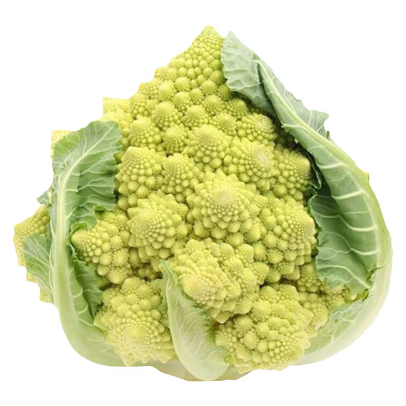 蔬菜种子花椰菜凤鸣雅世四季