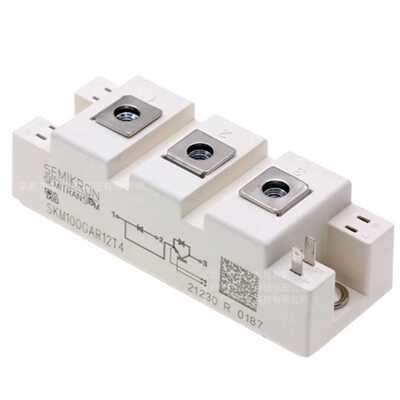 询价-SKM100GAR12T4  SKM145GAL123D S