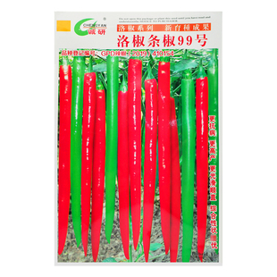 诚研洛椒条椒99号68号杂交长线椒红辣椒种子早熟青尖椒干辣椒种籽