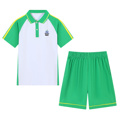 广州番禺中小学生校服纯棉短袖