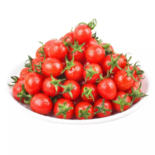 电白冰糖千禧圣女果礼盒小番茄小西红柿樱桃现发应季水果爆汁顺丰