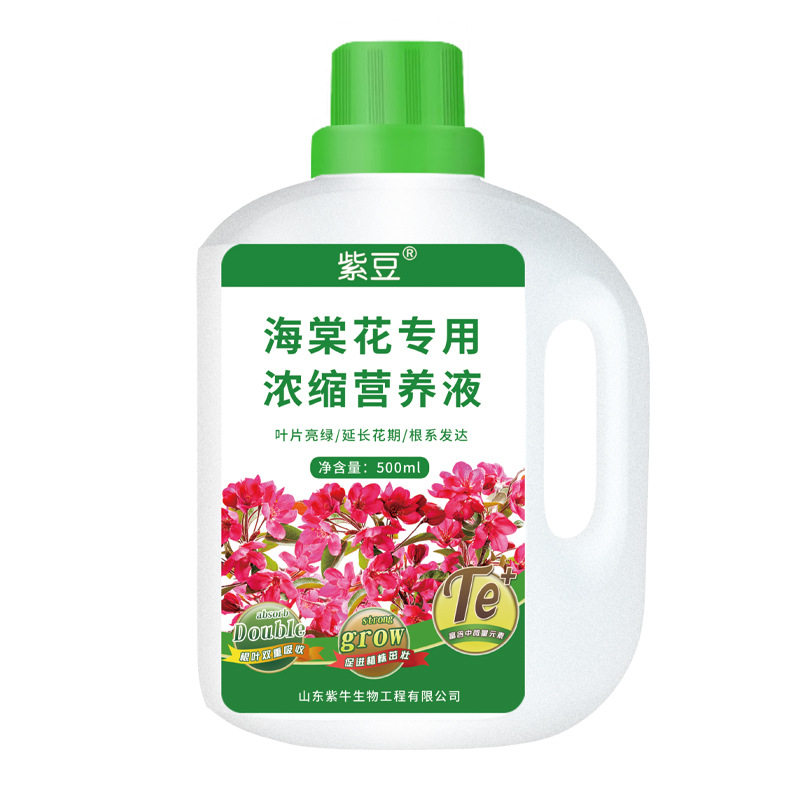 海棠花专用营养液家用四季海棠盆栽催花促花改善黄叶开花液体肥料