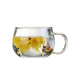 耐热玻璃杯子泡花茶杯家用单个带把水杯透明大肚杯加厚无盖牛奶杯