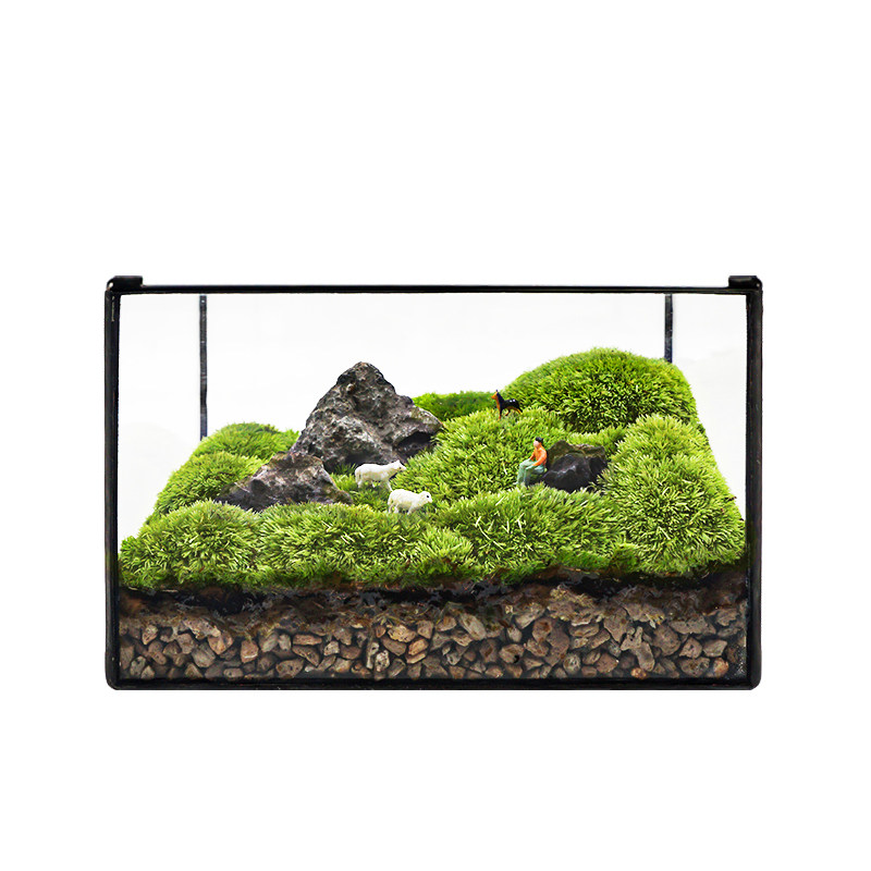 植物城堡苔藓微景观归隐山野