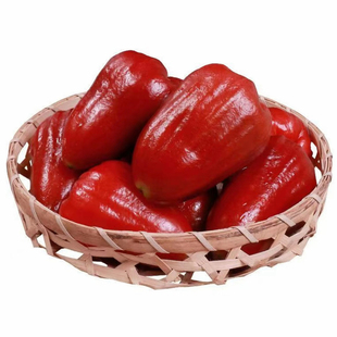 【顺丰包邮】正宗海南三亚黑金刚莲雾孕妇水果新鲜热带水果现摘