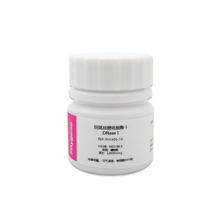 脱氧核糖核酸酶 I DNase I DNA酶 科研实验试剂 CAS:9003-98-9