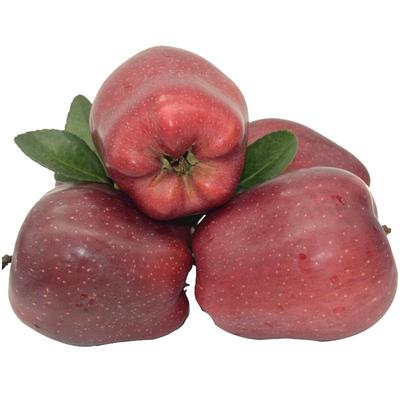 天水花牛苹果粉脆两吃