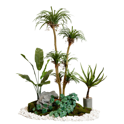 晶华仿真绿植仿真树套装热带露营风空间场景仿真植物造景橱窗装饰