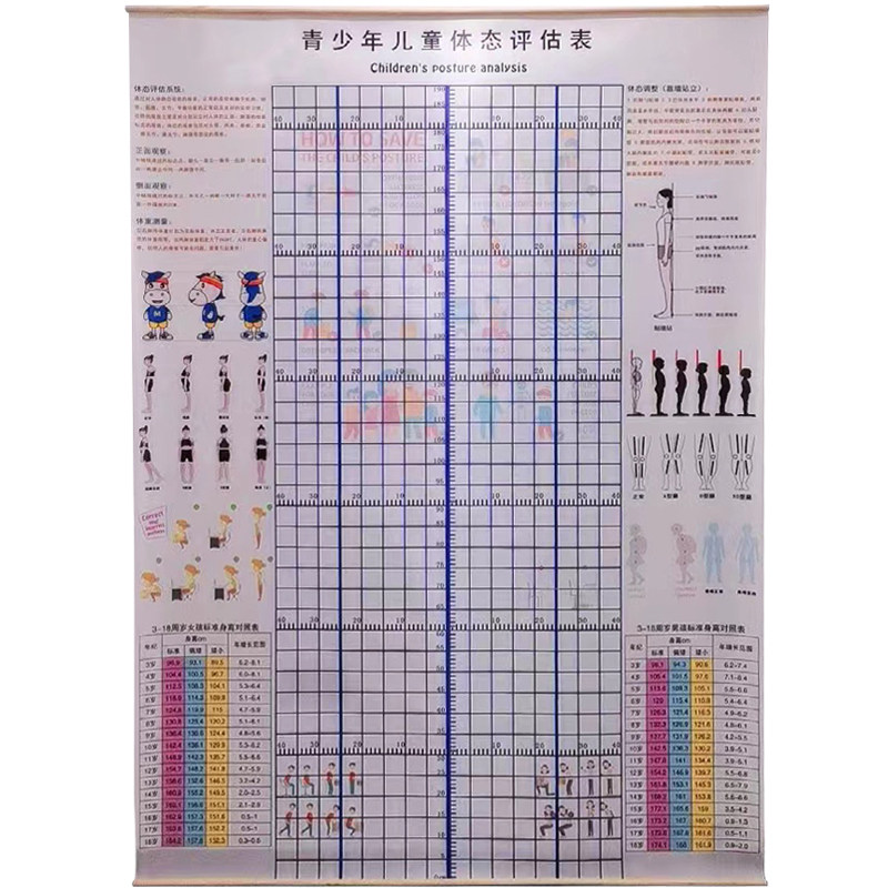 儿童舞蹈体态评估图表身高测量