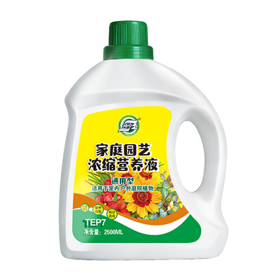 植物发财树富贵竹绿萝营养液