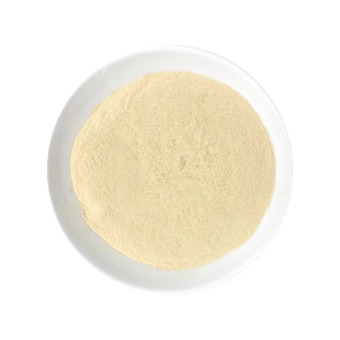 纯洋葱粉商用牛排腌料去腥生姜粉鱿鱼烧烤调料食用大蒜粉腌肉料