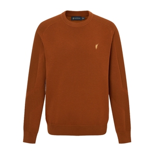 POLOWALK男装针织衫2025秋季新品长袖圆领套头上衣休闲外套