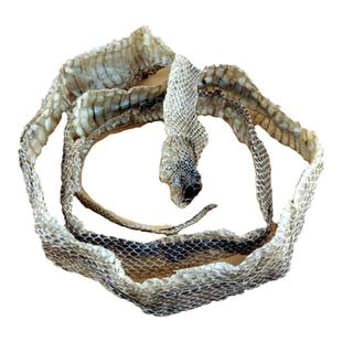 药材 整条蛇皮蛇蜕蛇退 蛇壳 野生吓唬老鼠 大个精选无沙包邮