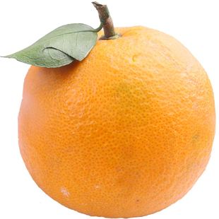 温岭高橙岙环广柑正宗新鲜手剥柑橘橙子桔类水果浙江台州特产