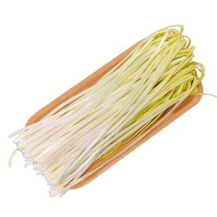 韭黄种子营养鲜嫩高产四季黄心韭菜耐低温易活秋冬农家蔬菜种籽孑