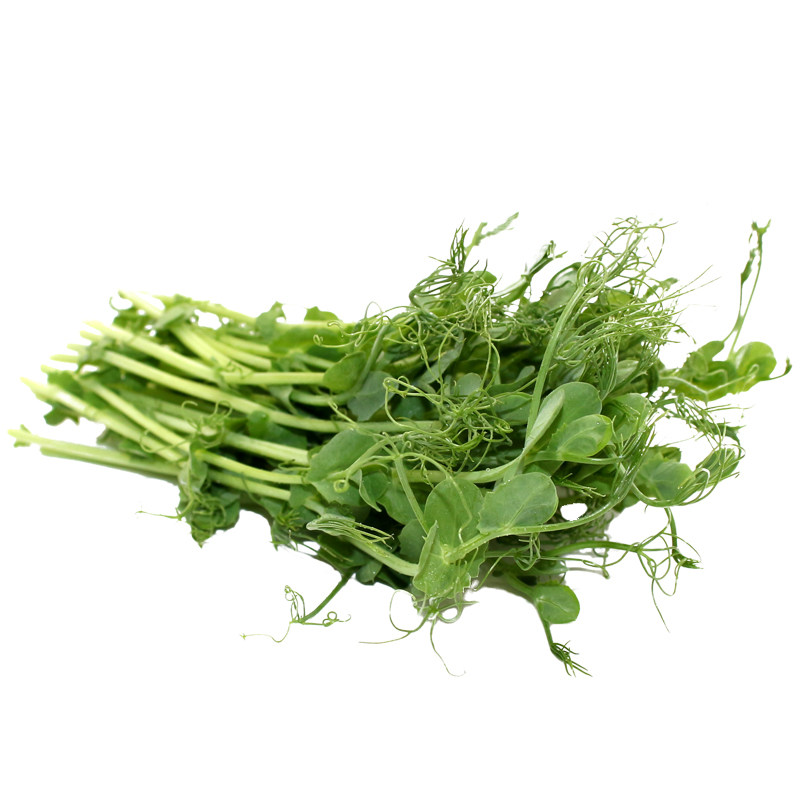 新鲜采摘旋蔓豆苗坏单包赔价优