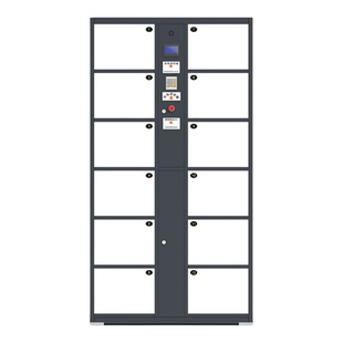 超市商场电子智能刷卡指纹条码人脸识别寄存包柜手机柜生产厂家