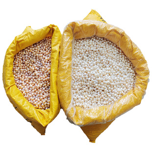 纯天然淡水有打带孔无孔按称斤真品穿孔单半孔极强光椭圆珍珠散珠