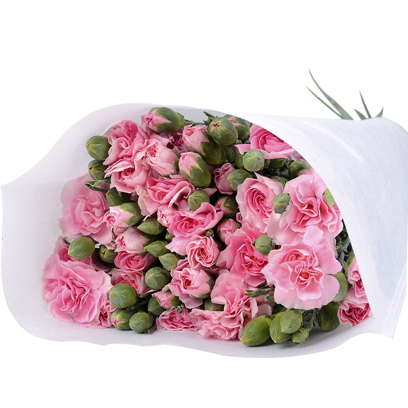 蝶蜜园康乃馨鲜花母亲节送妈妈