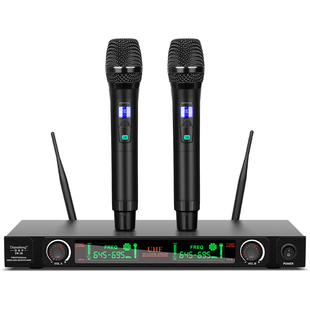 得普声DR38无线麦克风家用k歌一拖二话筒KTV户外舞台婚庆会议领夹