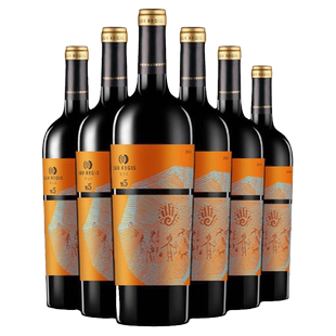 宁夏贺兰山东麓 类人首红酒悦5黑比诺干红葡萄酒750ml整箱装