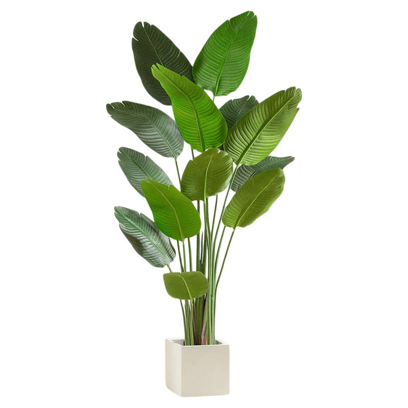造景仿生假绿植植物仿真绿植景观服装店造型橱窗摆件室内景观组合