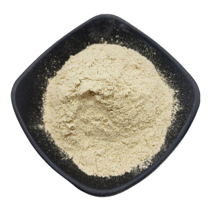 仙人掌粉食用 纯粉500g克包邮新疆正品仙人掌粉泡水喝现磨超细粉