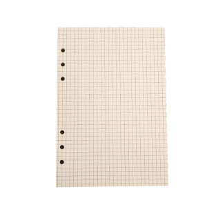 活页笔记本内页 B5/A5/A6/A7道林活页横线替芯6孔牛皮纸空白白纸