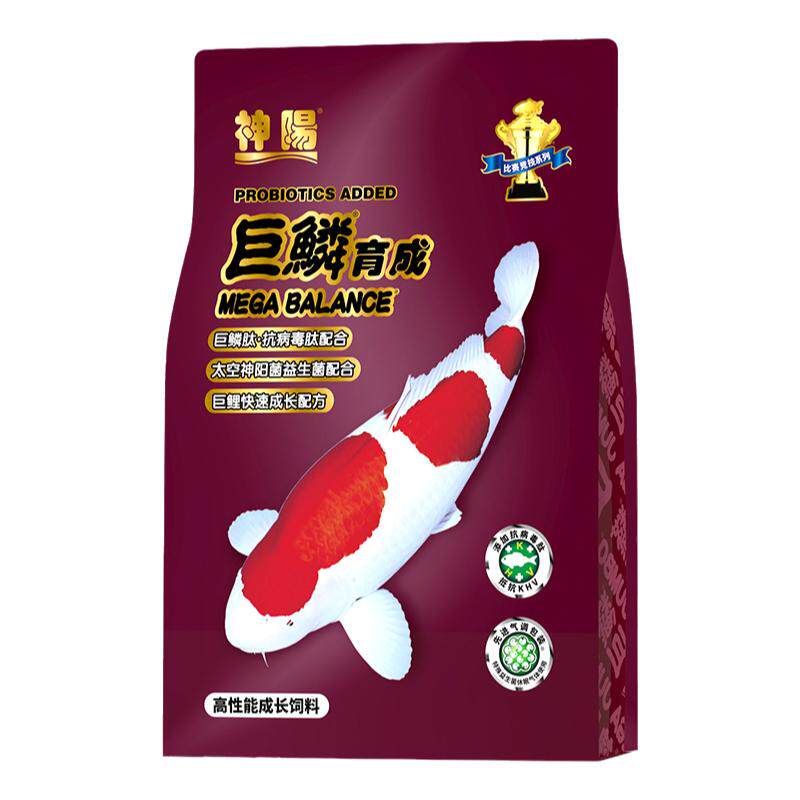 神阳巨鳞锦鲤鱼赛级鱼饲料