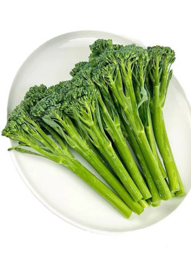 甜杆西兰苔新鲜蔬菜西兰花苔菜苔迷你西兰花兰细杆花苔西蓝苔宁夏